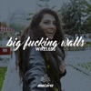 Big Fucking Walls - Single