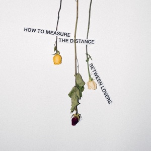 How To Measure the Distance Between Lovers