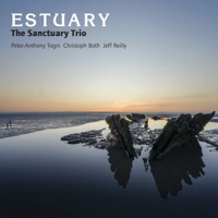 Estuary - The Sanctuary Trio - Peter-Anthony Togni, Jeff Reilly & Christoph Both