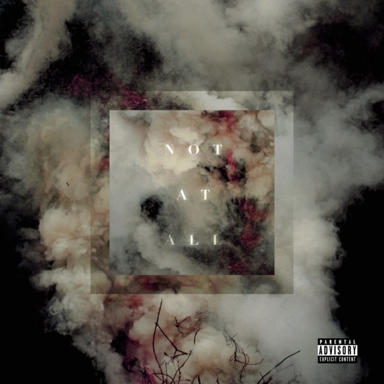 Cover artwork for Not At All