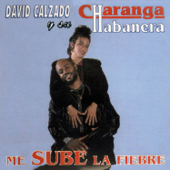 Fiebre de Amor (Remasterizado)