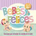 Los Pollos de Mi Cazuela