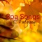 Detox (Relieve Stress) - John Spa Williams lyrics
