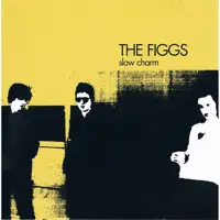 Lose The Pain — The Figgs