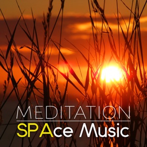Meditation: SPAce Music – Tranquility Sounds, Zen Music, Relaxing Tracks, Well Being, Spa Sounds, Anti Stress, Yoga Music