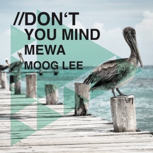 Don't You Mind - Single