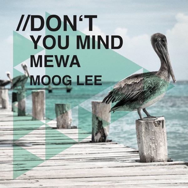 Don't You Mind - Single
