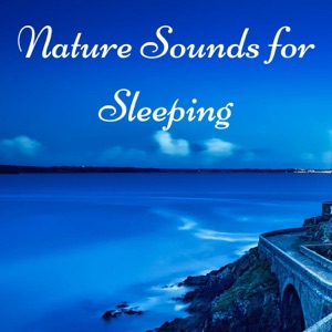 Nature Sounds for Sleeping - 50 Tracks to Relax in Free Time at Home