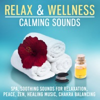 Relax & Welness Calming Sounds: Spa, Soothing Sounds for Relaxation, Peace, Zen, Healing Music, Chakra Balancing - Just Relax Music Universe