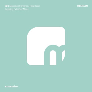 Meaning of Dreams / Road Rash - Single