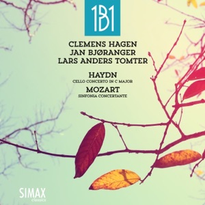 Sinfonia Concertante in E-flat major, K 364: I. Andante maestoso