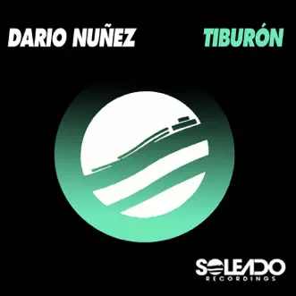 Tiburón - Single by Dario Nuñez album reviews, ratings, credits