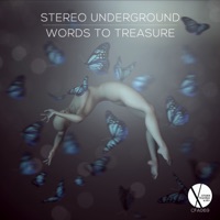 Words to Treasure (feat. Sealine) - Single - Stereo Underground