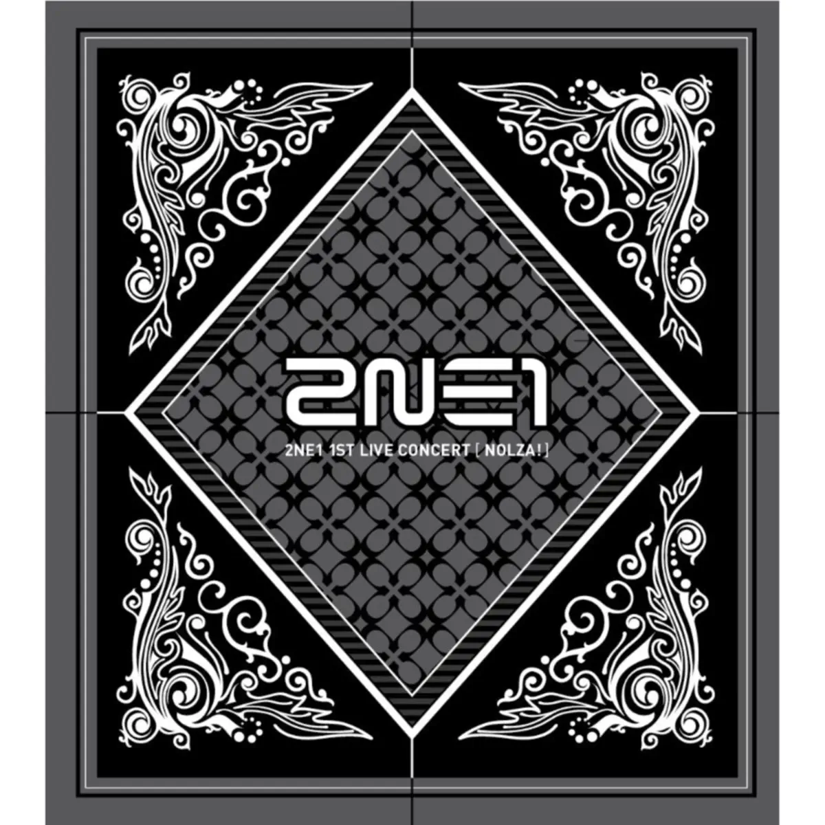 2NE1 - 2NE1 1st Live Concert NOLZA! (2011) [iTunes Plus AAC M4A]-新房子