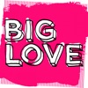 Big Love Presents Soul Love Mixed by Seamus Haji