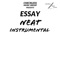 Neat - Essay lyrics
