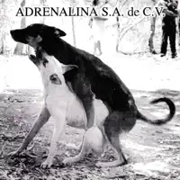 Maldita — Adrenalina