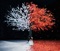 茜さす/everlasting snow - EP ジャケット写真