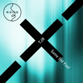 Son!k Remix (QiDD Remix)