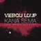 Kana sema (feat. Memo All Star) - Viebou Loup lyrics