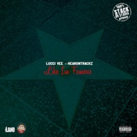 Like I'm Famous (feat. Lucci Vee) - Single - HearonTrackz