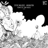 Steve Mulder - Recon (Tom Hades Remix)