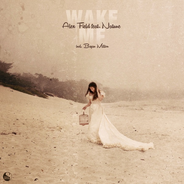 Wake Me - Single