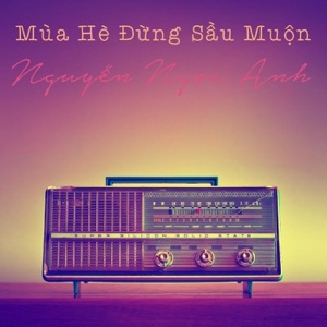 Mùa Hè Đừng Sầu Muộn