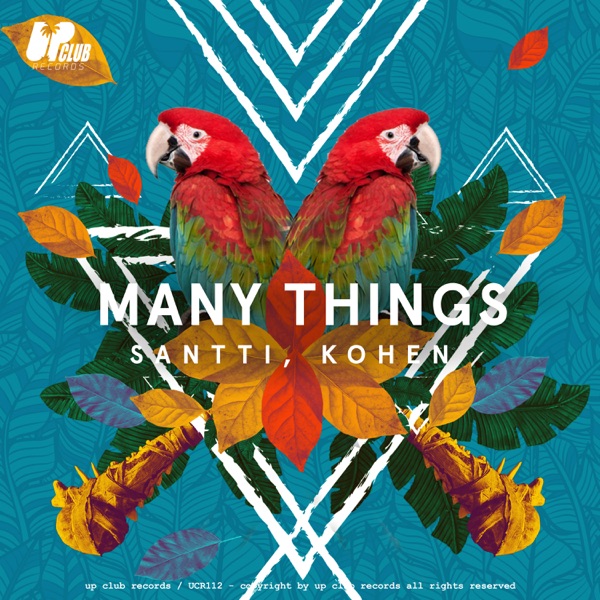 KOHEN/SANTTI - Many Things (Tatsch rmx) - на Radio Record