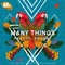 Many Things - Santti & Kohen lyrics