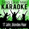 17 Jahr, blondes Haar (Karaoke Version) [Originally Performed By Dieter Thomas Kuhn] - La-Le-Lu