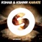 Karate - R3HAB & KSHMR lyrics
