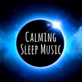 Calming Sleep Music - Best Harmonious Music Collection, Sleep, Insomnia, Relaxation & Stress Relief artwork