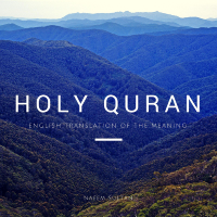 Naeem Sultan - Translation of the Meaning of the Holy Quran in English artwork