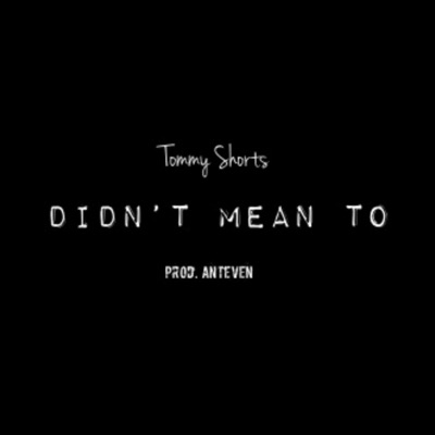 Didn't Mean To - Single