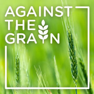 Episode 88 – How Food Plays Into Pain and Inflammation