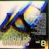 Show de Bandas, Vol. 8