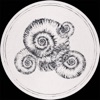 Perisphinctes Tiziani Remixes - Single