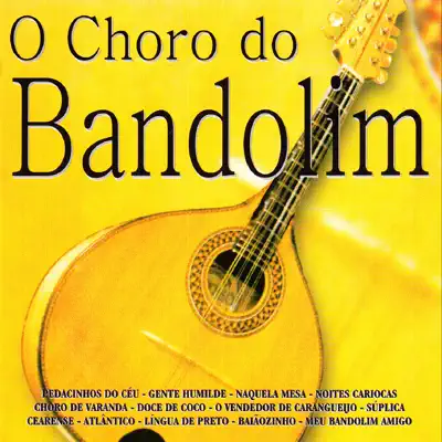 O Choro do Bandolim - Willian Luna O Choro do Bandolim - Willian Luna