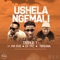 Ushela Ngemali (feat. Ma Eve, DJ TPZ & Teriana) - Triple T lyrics