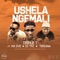 Ushela Ngemali (feat. Ma Eve, DJ TPZ & Teriana) - Triple T lyrics