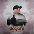 Yo sé que llegaré