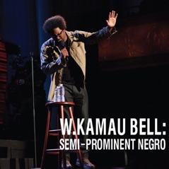 Semi-Prominent Negro - Digital Sampler - EP