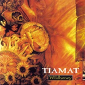 Tiamat - Visionaire