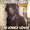 Gregory Isaacs - Happy Anniversary [11n4]