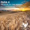 Fields of Joy (Nikolauss #140 Remix) - Para X lyrics