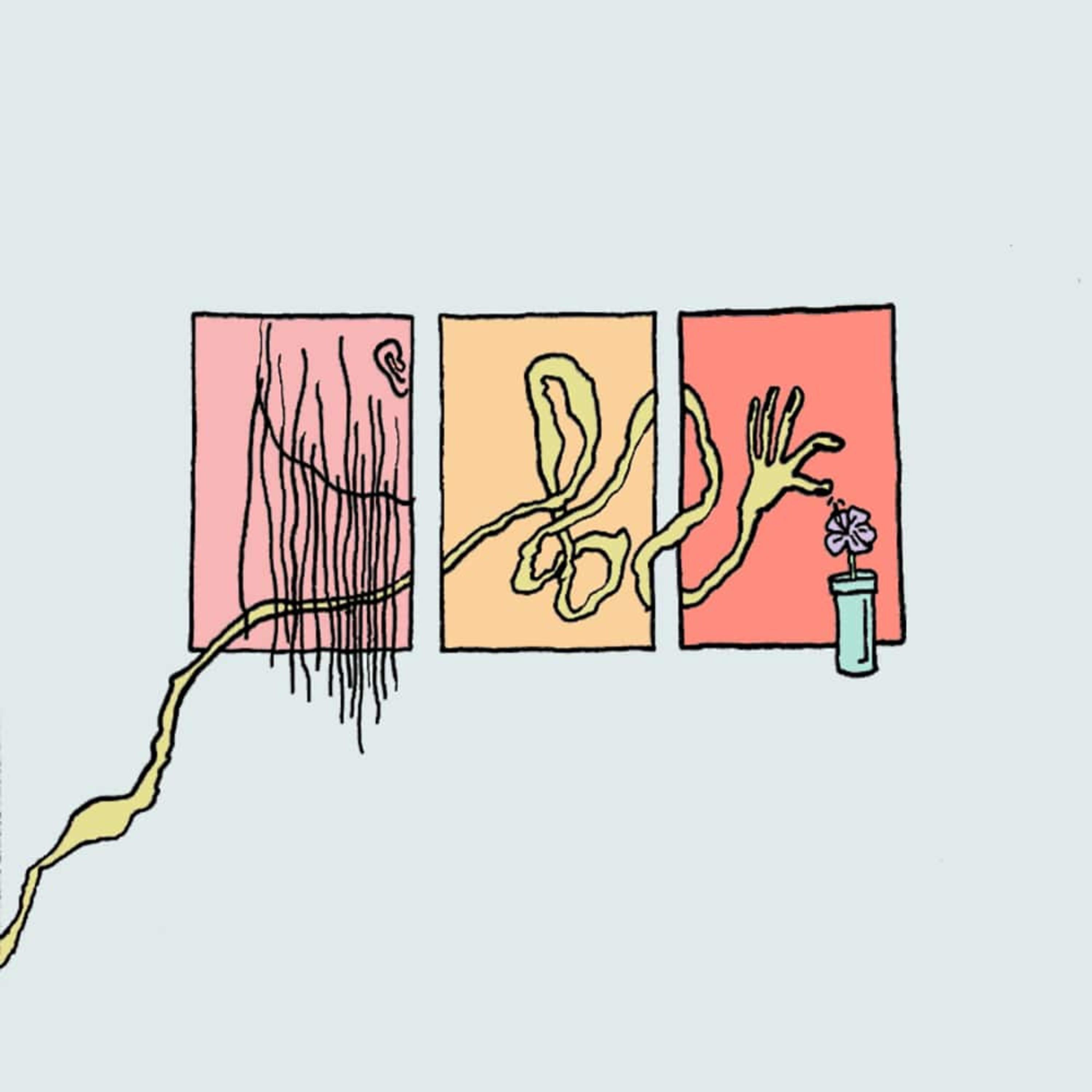 Deadheading the Hibiscus