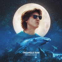 Triangle Sun - Hidden Home