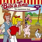 Bibi und Tina Lied