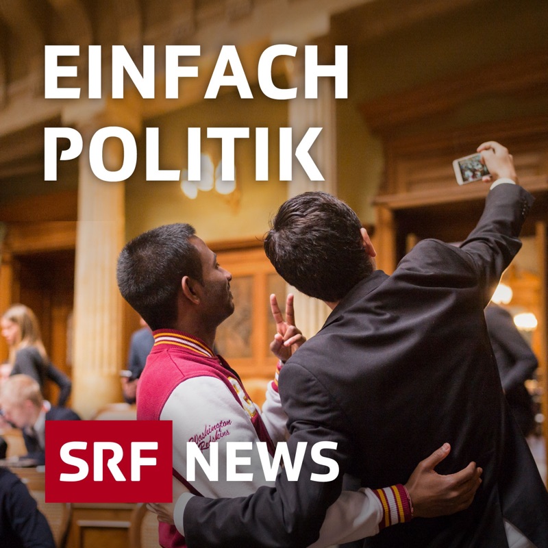 Einfach Politik
